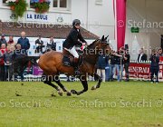 SKELTON BIG STAR LaBaule2013- S5 9970 : 2013, BIG STAR, La Baule, SKELTON NICK, foto di Stefano Secchi ©